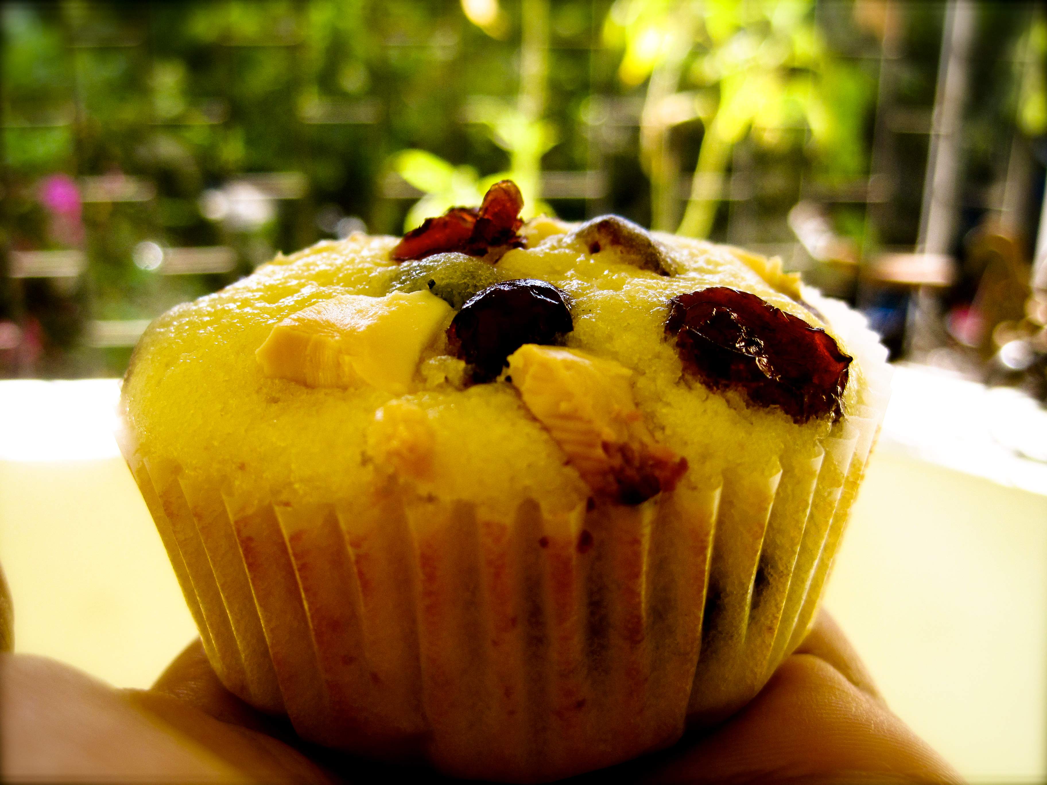 White Chocolate and Cranberry Muffin