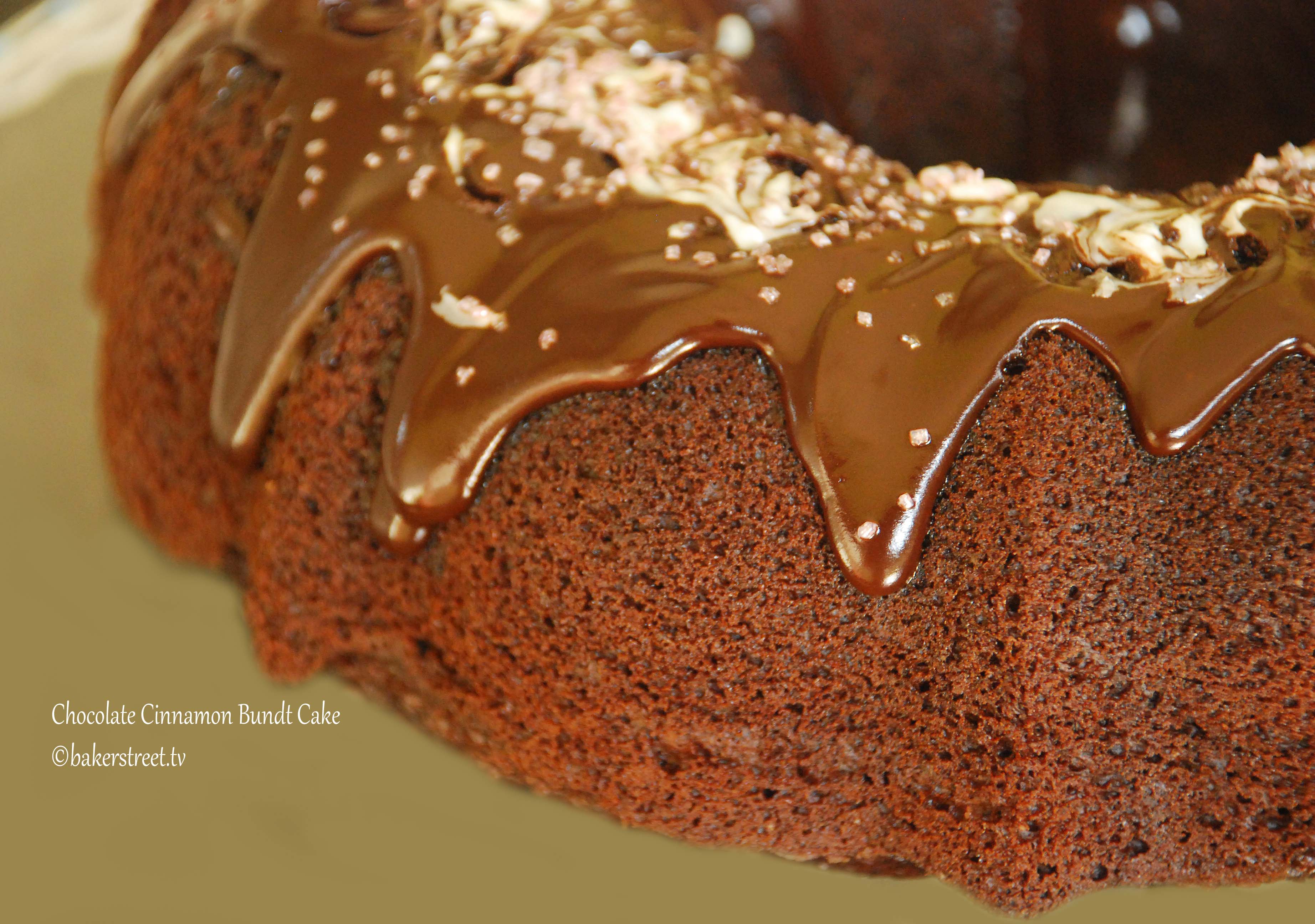 Chocolate Cinnamon Bundt Cake1