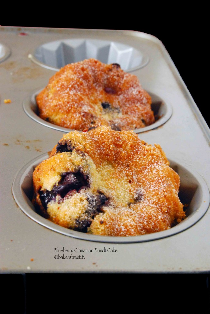 https://bakerstreet.tv/wp-content/uploads/2012/11/Blueberry-Cinnamon-Bundt-Cake4-685x1024.jpg